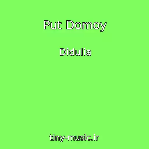 کاور آهنگ Put Domoy از Didulia