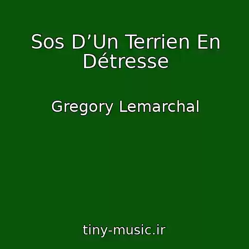 کاور آهنگ Sos D’Un Terrien En Détresse از Gregory Lemarchal