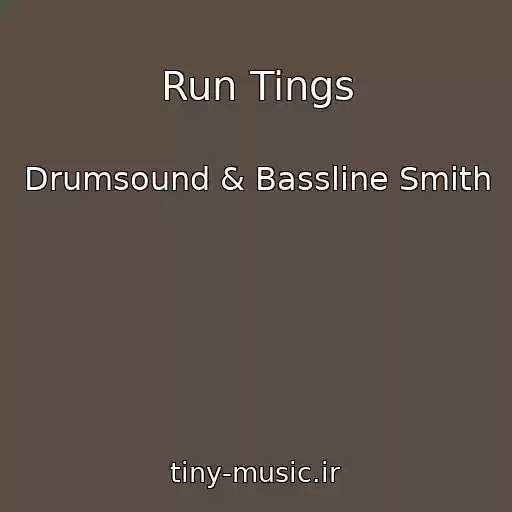 کاور آهنگ Run Tings از Drumsound & Bassline Smith