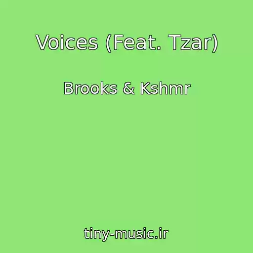 کاور آهنگ Voices (Feat. Tzar) از Brooks & Kshmr