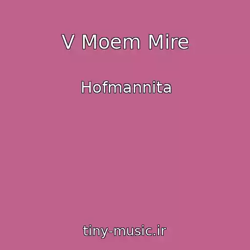 کاور آهنگ V Moem Mire از Hofmannita