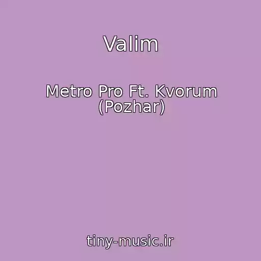 کاور آهنگ Valim از Metro Pro Ft. Kvorum (Pozhar)