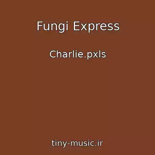کاور آهنگ Fungi Express از Charlie.pxls