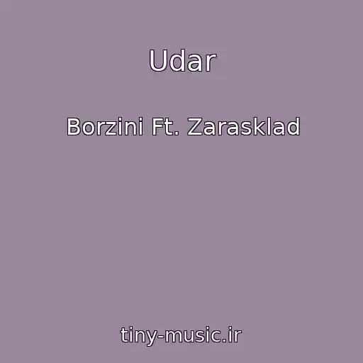 کاور آهنگ Udar از Borzini Ft. Zarasklad