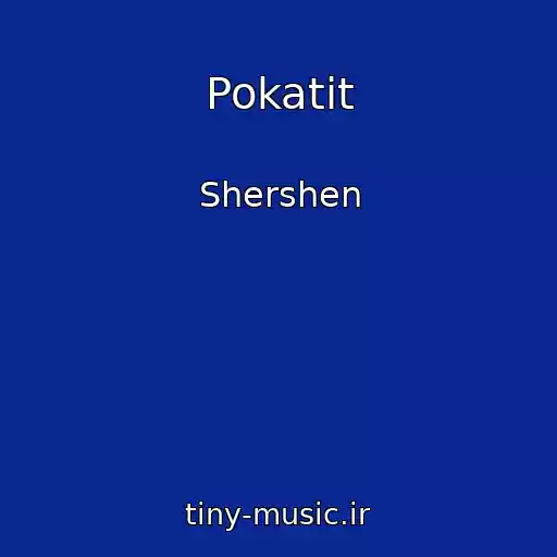 کاور آهنگ Pokatit از Shershen