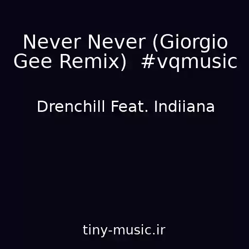 کاور آهنگ Never Never (Giorgio Gee Remix)  #vqmusic از Drenchill Feat. Indiiana