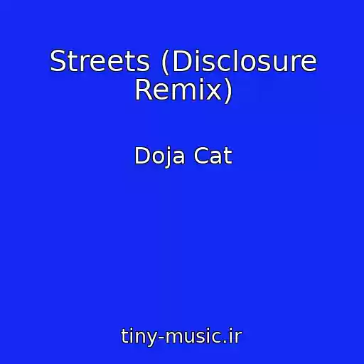 کاور آهنگ Streets (Disclosure Remix) از Doja Cat