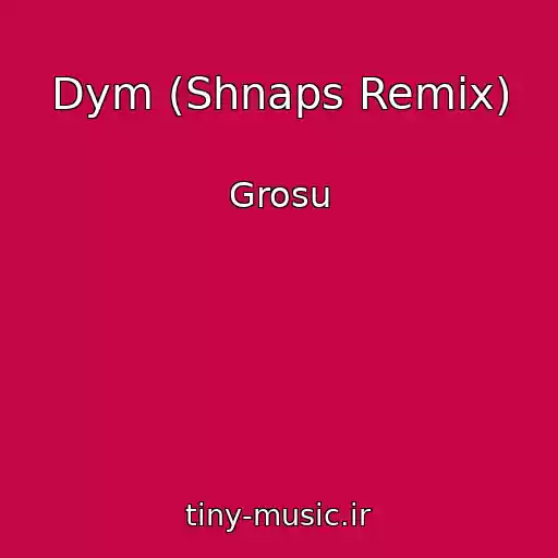 کاور آهنگ Dym (Shnaps Remix) از Grosu