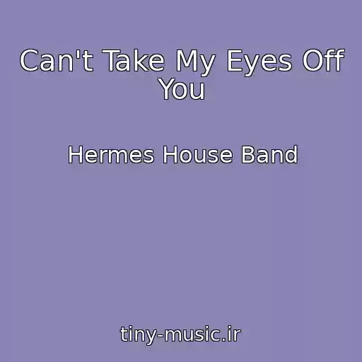 کاور آهنگ Can't Take My Eyes Off You از Hermes House Band