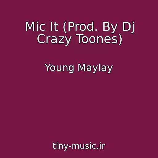 کاور آهنگ Mic It (Prod. By Dj Crazy Toones) از Young Maylay
