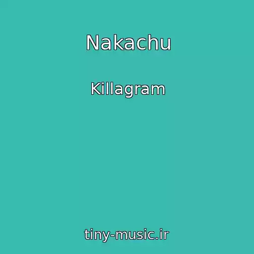 کاور آهنگ Nakachu از Killagram