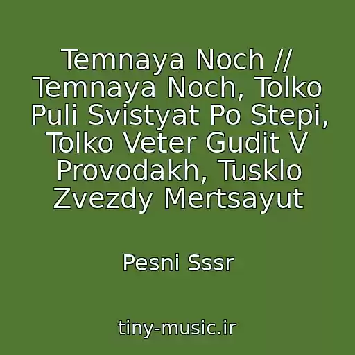 کاور آهنگ Temnaya Noch // Temnaya Noch, Tolko Puli Svistyat Po Stepi, Tolko Veter Gudit V Provodakh, Tusklo Zvezdy Mertsayut از Pesni Sssr