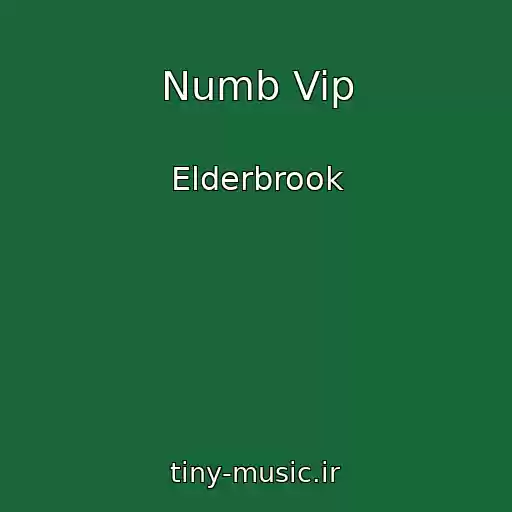 کاور آهنگ Numb Vip از Elderbrook