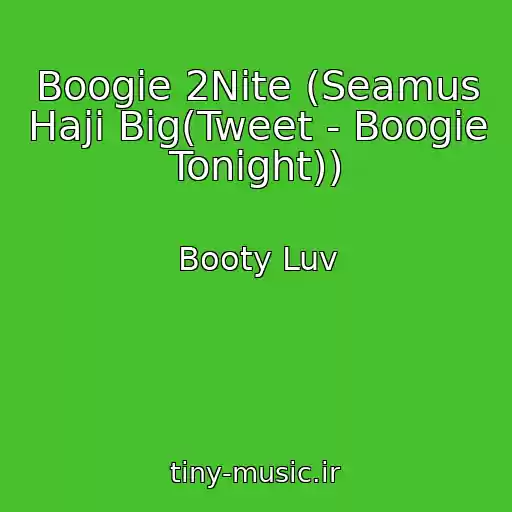 کاور آهنگ Boogie 2Nite (Seamus Haji Big(Tweet - Boogie Tonight)) از Booty Luv