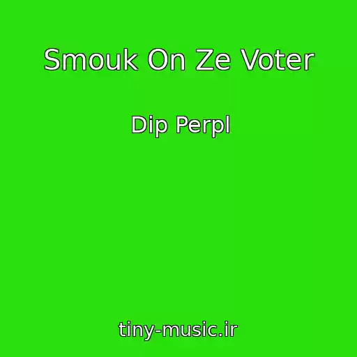 کاور آهنگ Smouk On Ze Voter از Dip Perpl