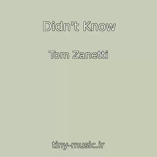 کاور آهنگ Didn't Know از Tom Zanetti