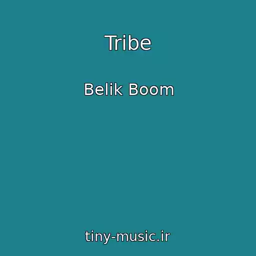 کاور آهنگ Tribe از Belik Boom
