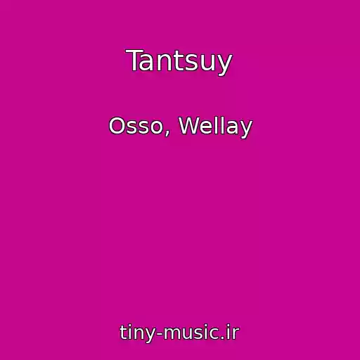 کاور آهنگ Tantsuy از Osso, Wellay