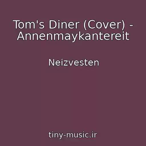 کاور آهنگ Tom's Diner (Cover) - Annenmaykantereit از Neizvesten