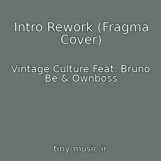 کاور آهنگ Intro Rework (Fragma Cover) از Vintage Culture Feat. Bruno Be & Ownboss