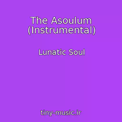 کاور آهنگ The Asoulum (Instrumental) از Lunatic Soul