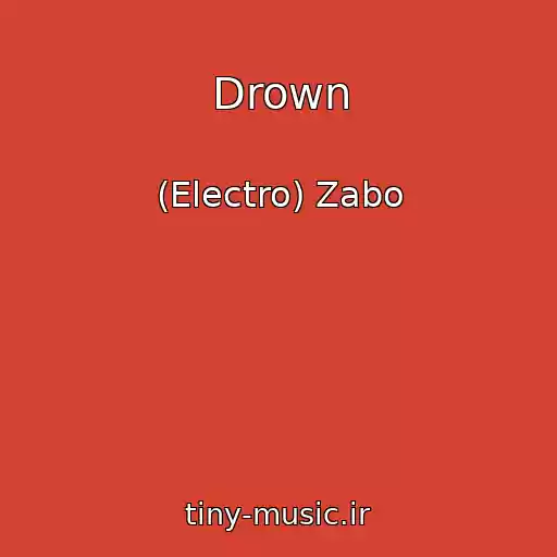 کاور آهنگ Drown از (Electro) Zabo