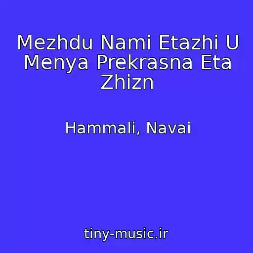کاور آهنگ Mezhdu Nami Etazhi U Menya Prekrasna Eta Zhizn از Hammali, Navai