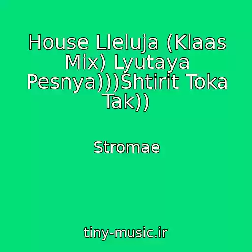 کاور آهنگ House Lleluja (Klaas Mix) Lyutaya Pesnya)))Shtirit Toka Tak)) از Stromae
