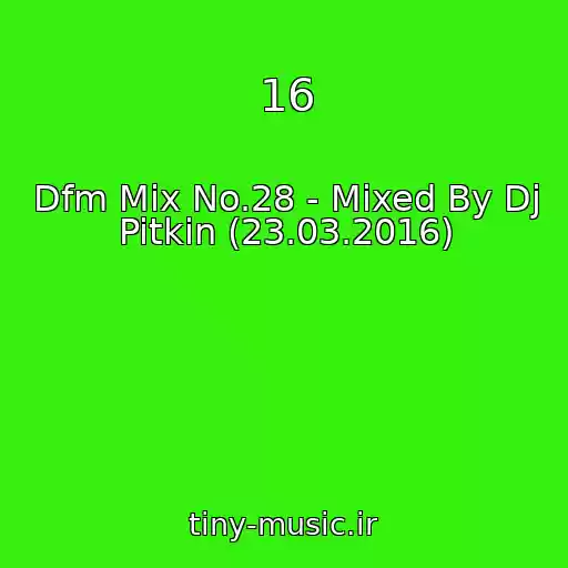 کاور آهنگ 16 از Dfm Mix No.28 - Mixed By Dj Pitkin (23.03.2016)