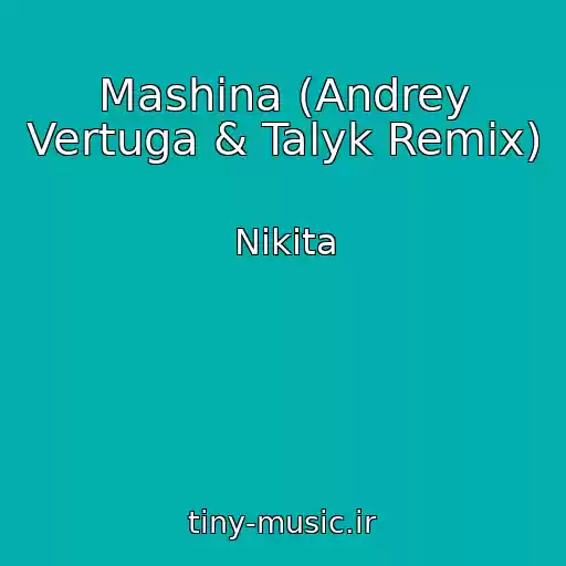 کاور آهنگ Mashina (Andrey Vertuga & Talyk Remix) از Nikita