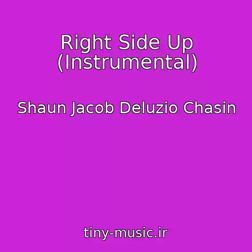 کاور آهنگ Right Side Up (Instrumental) از Shaun Jacob Deluzio Chasin