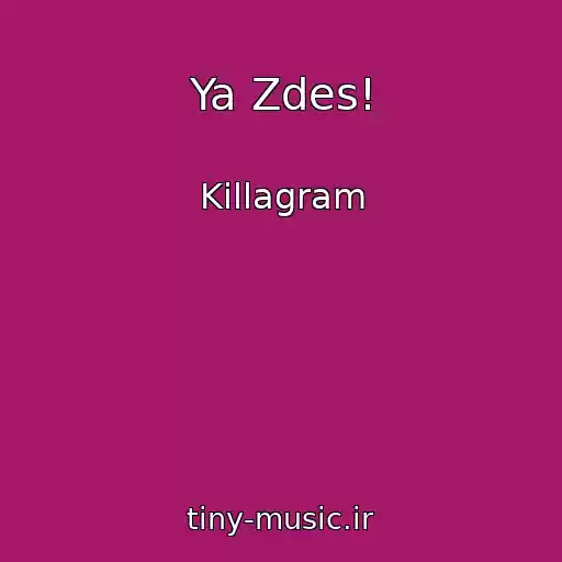 کاور آهنگ Ya Zdes! از Killagram