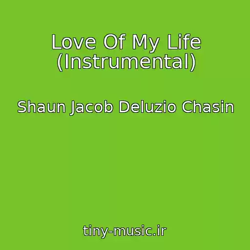 کاور آهنگ Love Of My Life (Instrumental) از Shaun Jacob Deluzio Chasin