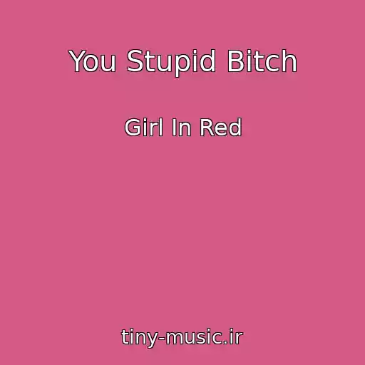 کاور آهنگ You Stupid Bitch از Girl In Red