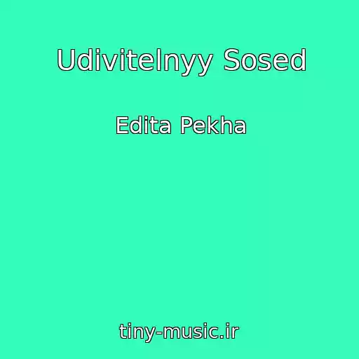 کاور آهنگ Udivitelnyy Sosed از Edita Pekha