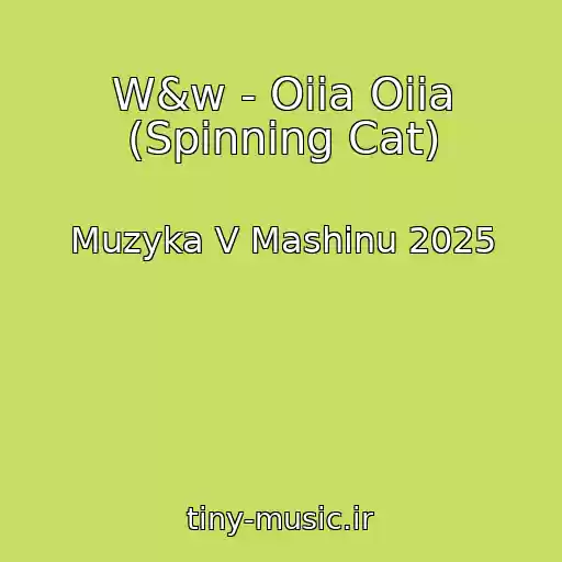 کاور آهنگ W&w - Oiia Oiia (Spinning Cat) از Muzyka V Mashinu 2025