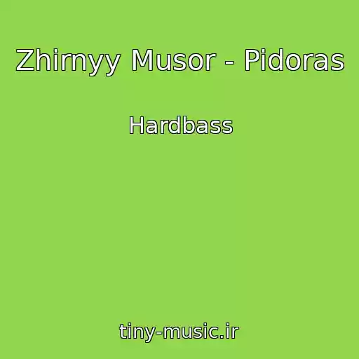 کاور آهنگ Zhirnyy Musor - Pidoras از Hardbass