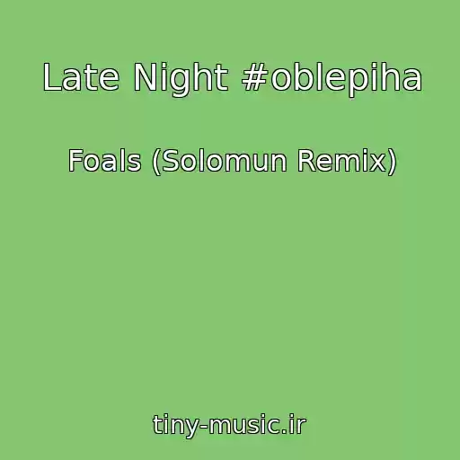 کاور آهنگ Late Night #oblepiha از Foals (Solomun Remix)