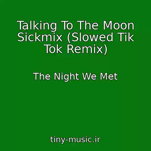 کاور آهنگ Talking To The Moon Sickmix (Slowed Tik Tok Remix) از The Night We Met