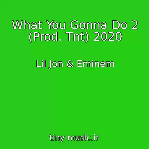 کاور آهنگ What You Gonna Do 2 (Prod. Tnt) 2020 از Lil Jon & Eminem