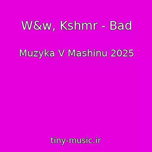 کاور آهنگ W&w, Kshmr - Bad از Muzyka V Mashinu 2025