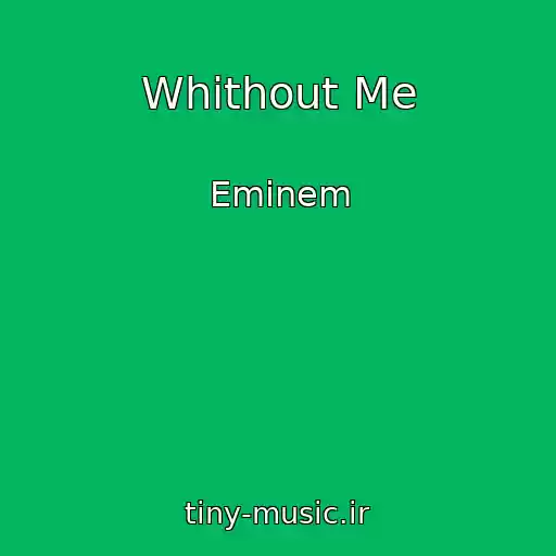 کاور آهنگ Whithout Me از Eminem