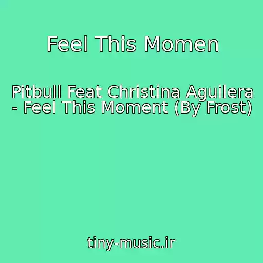 کاور آهنگ Feel This Momen از Pitbull Feat Christina Aguilera - Feel This Moment (By Frost)