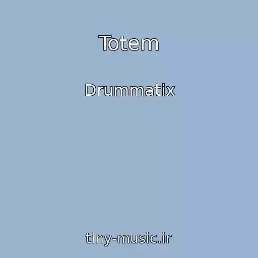 کاور آهنگ Totem از Drummatix