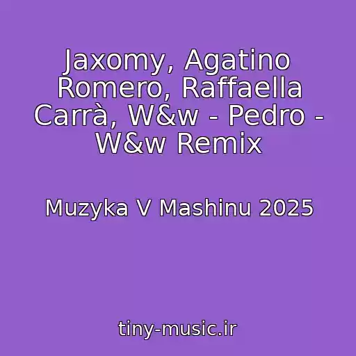 کاور آهنگ Jaxomy, Agatino Romero, Raffaella Carrà, W&w - Pedro - W&w Remix از Muzyka V Mashinu 2025