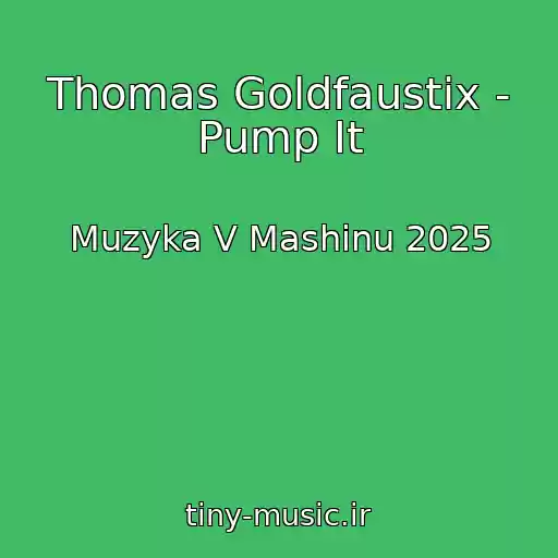 کاور آهنگ Thomas Goldfaustix - Pump It از Muzyka V Mashinu 2025