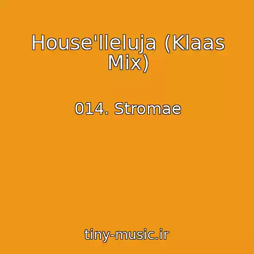 کاور آهنگ House'lleluja (Klaas Mix) از 014. Stromae
