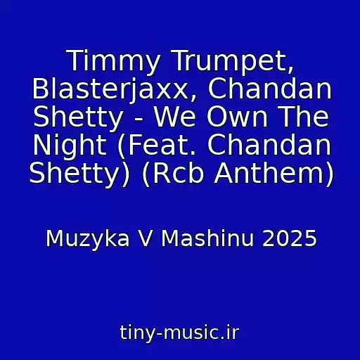 کاور آهنگ Timmy Trumpet, Blasterjaxx, Chandan Shetty - We Own The Night (Feat. Chandan Shetty) (Rcb Anthem) از Muzyka V Mashinu 2025