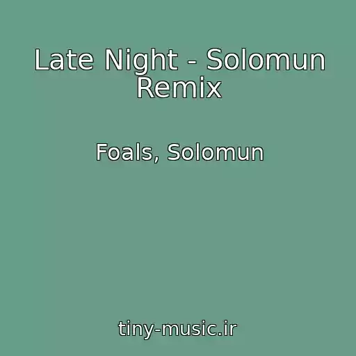 کاور آهنگ Late Night - Solomun Remix از Foals, Solomun