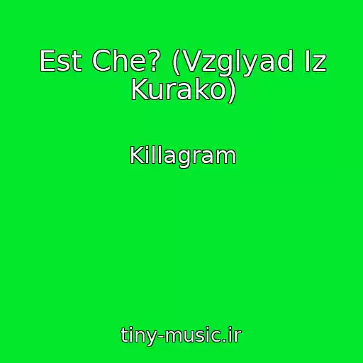 کاور آهنگ Est Che? (Vzglyad Iz Kurako) از Killagram
